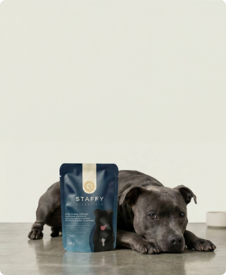 Premium Paws brand story