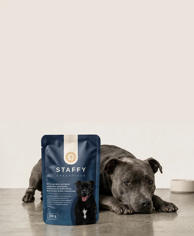 Premium Paws brand story