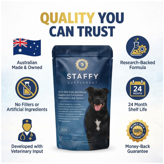 Staffy Essentials