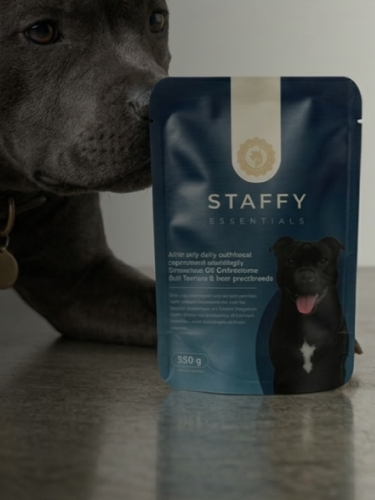 Staffy dog with Staffy Essentials supplement