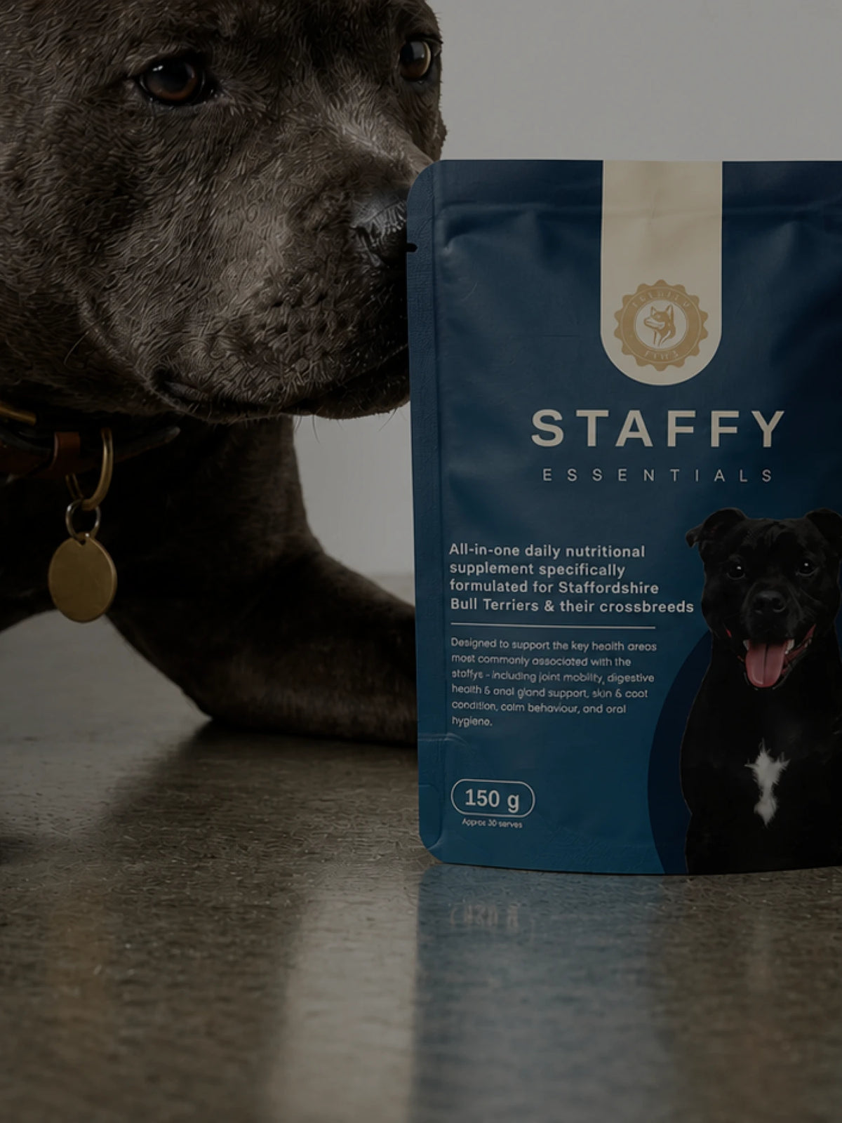 Staffy dog with Staffy Essentials supplement