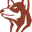 Premium Paws logo