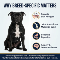 Staffy Essentials