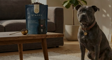 Dog being fed Staffy Essentials supplement